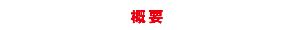 概要